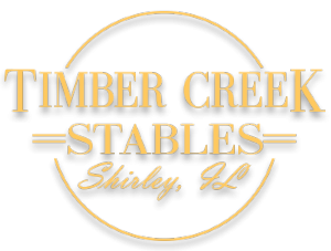 Logo Circle